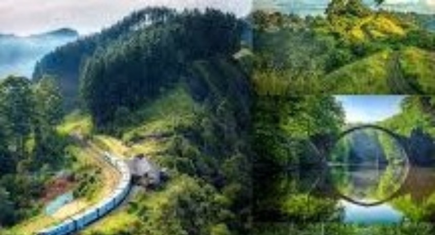 传媒风向标 - 抖阴 - 内容营销风向前沿指引平台